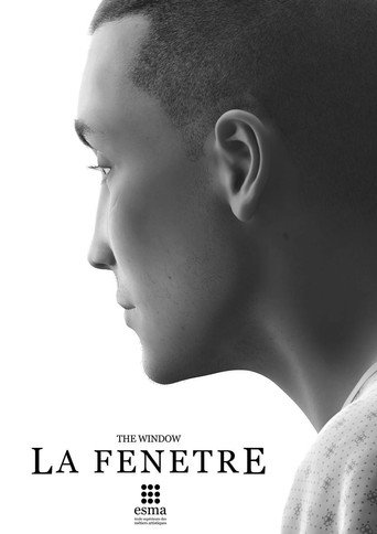 Movie poster for The Window (2014)
