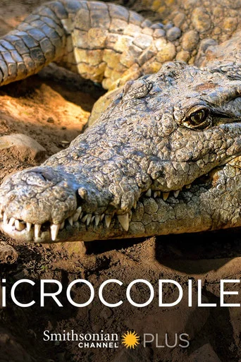 Movie poster for iCrocodile (2015)