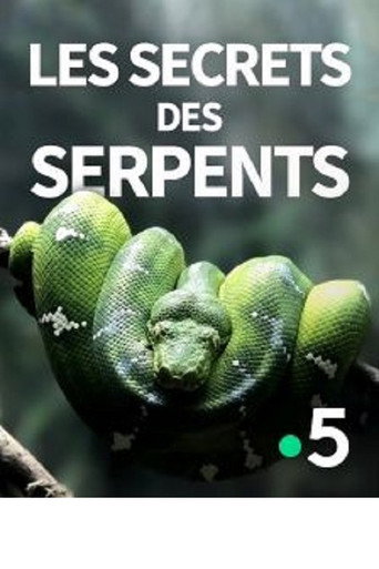 Movie poster for The Secrets of the Snakes (2016)