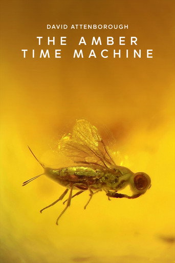 Movie poster for The Amber Time Machine (2004)
