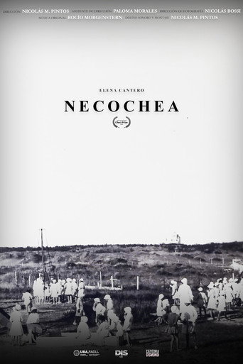 Movie poster for Necochea (2020)