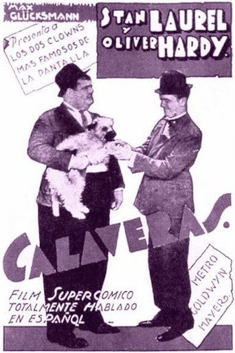Movie poster for The Skulls (1931)