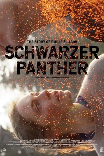 Movie poster for Black Panther (2013)