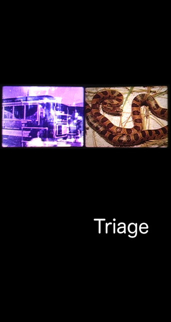 Movie poster for Triage (2004)