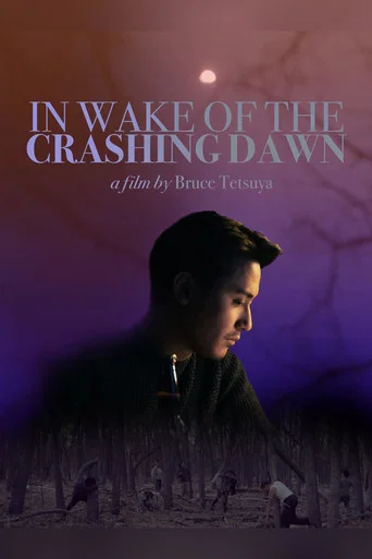 Movie poster for In Wake of the Crashing Dawn (2020)