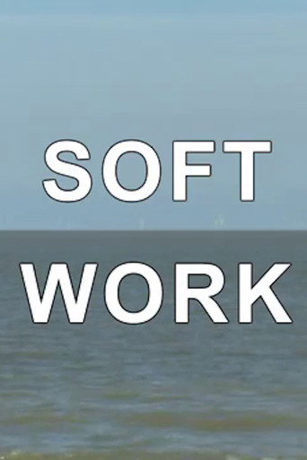 Movie poster for Soft Work (2012)