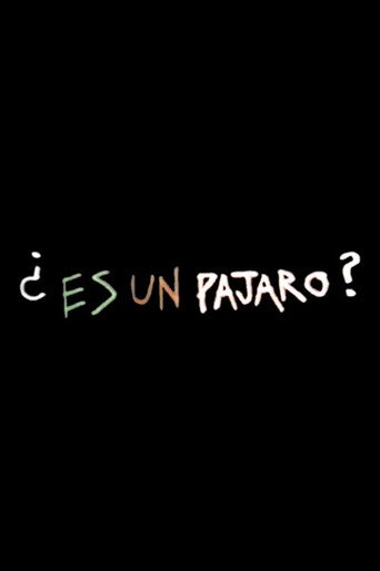 Movie poster for Es Un Pajaro (1974)