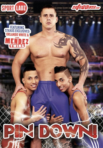 Movie poster for Pin Down (2013)