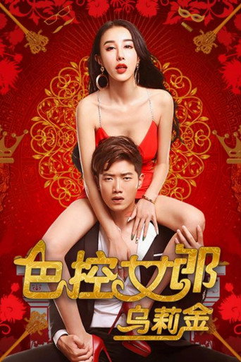 Movie poster for Sex-Girl Control Ulykin (2016)