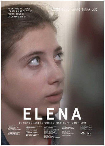 Movie poster for Elena (2014)