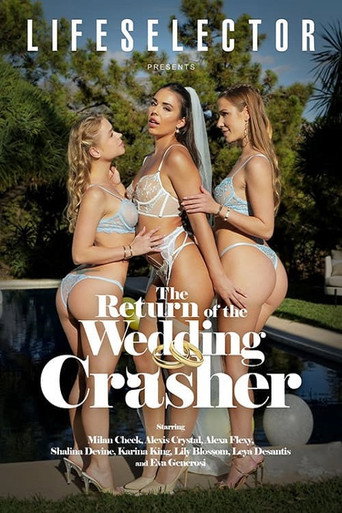 Movie poster for The Return of the Wedding Crasher (2024)