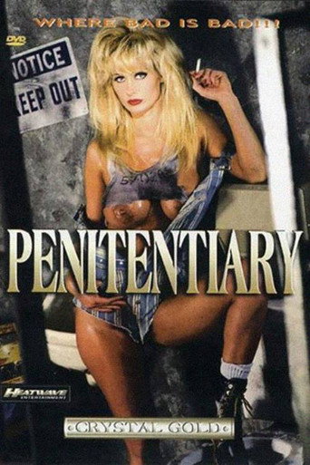Movie poster for Penitentiary (1995)