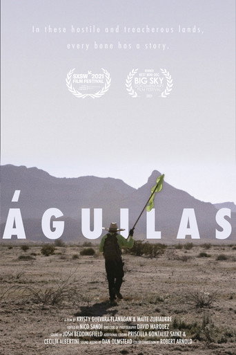 Movie poster for Eagles (2021)