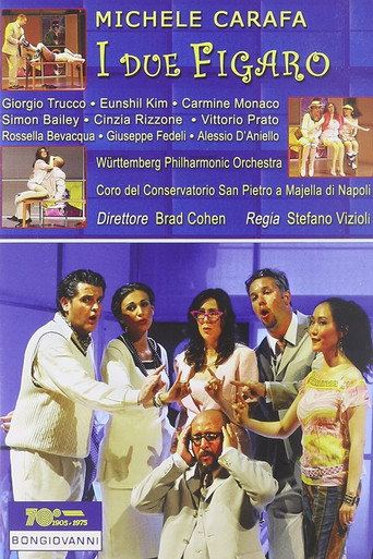 Movie poster for I Due Figaro a Sia II Soggetto Di Una Commedia (2009)
