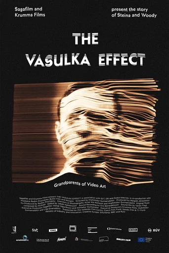 Movie poster for The Vasulka Effect (2020)