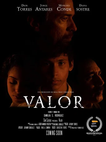 Movie poster for Valor (2019)
