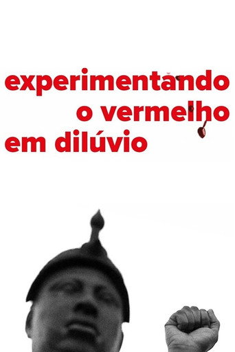 Movie poster for Experiencing the Flooding Red (2016)