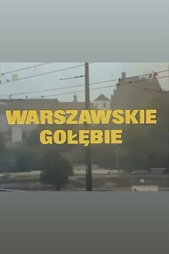 Warszawskie gołębie poster