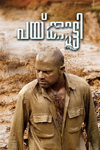 Movie poster for Paikutty (2018)