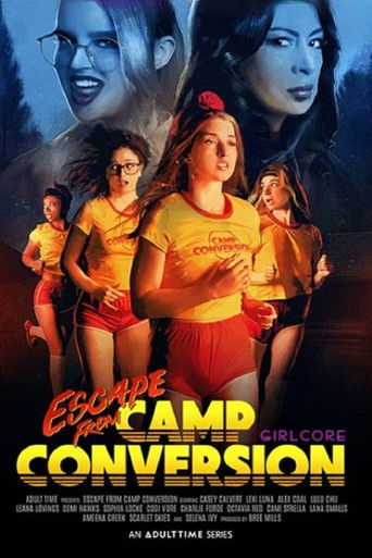 Escape from Camp Conversion poster