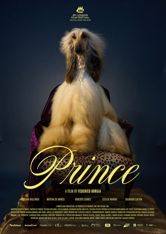 Movie poster for Prince (2026)