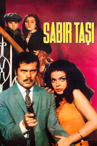 Sabır Taşı poster