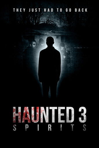 Haunted 3: Spirits poster