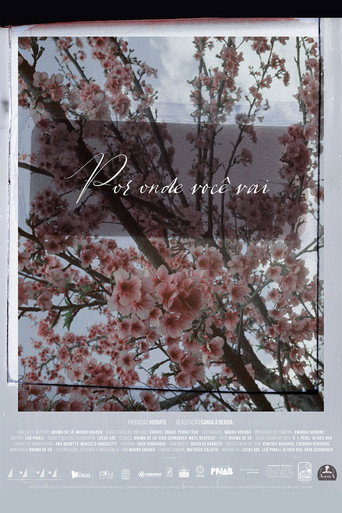 Movie poster for The places you wander