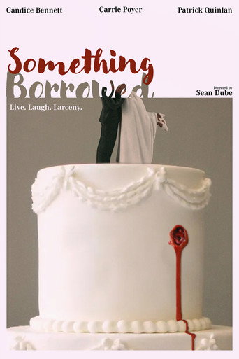 Movie poster for Something Borrowed