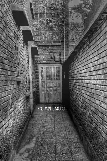 Movie poster for Flamingo