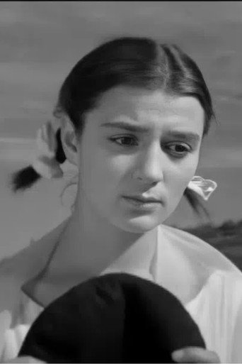 Intercity Train poster