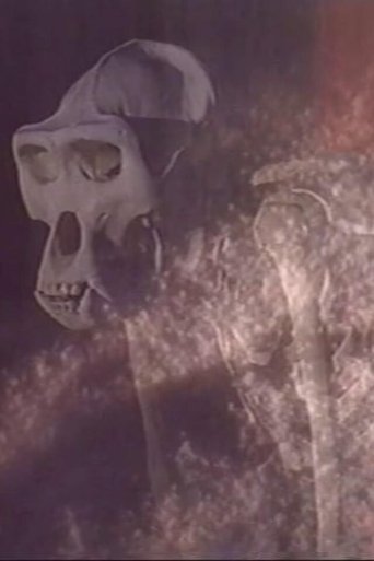 Esprits de Sel poster