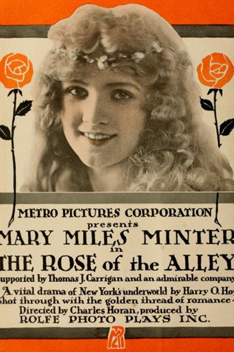 Movie poster for Rose of the Alley (1916)