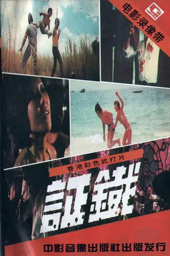 Movie poster for Evidence (1974)