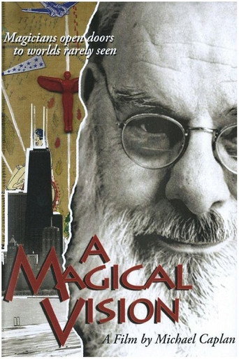 Movie poster for A Magical Vision (2008)