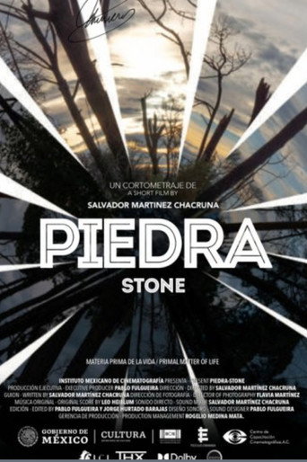 Movie poster for Piedra (2021)