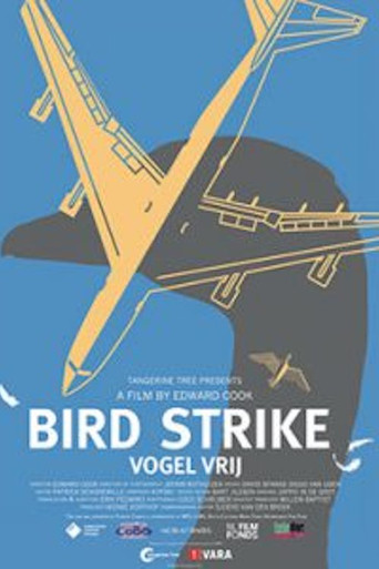 Movie poster for Bird Strike (2015)