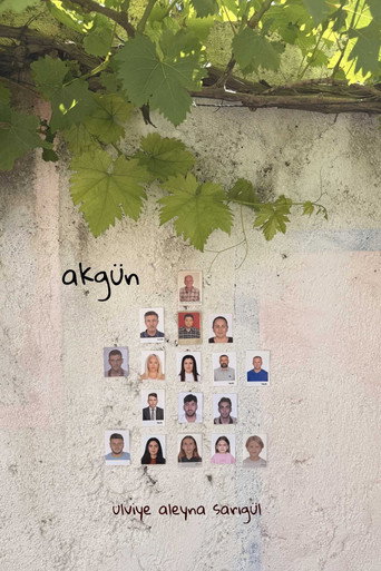 Movie poster for akgün