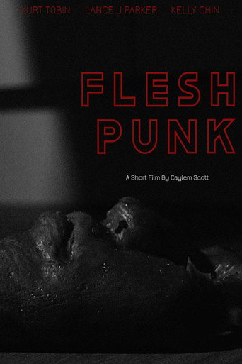 Movie poster for Fleshpunk
