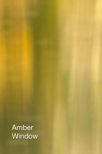Movie poster for Amber Window (2025)
