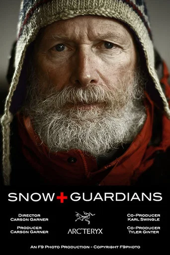 Movie poster for Snow Guardians (2012)
