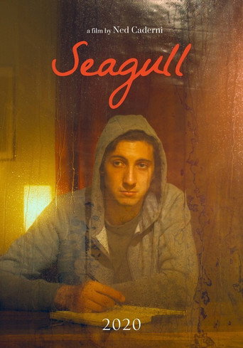 Movie poster for Seagull (2020)