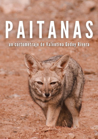 Movie poster for Paitanas