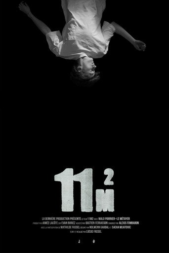 Movie poster for 11m2 (2024)