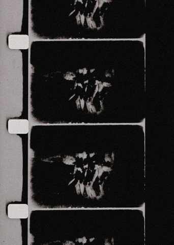 Movie poster for Studies in Image (de) Generation (1975)