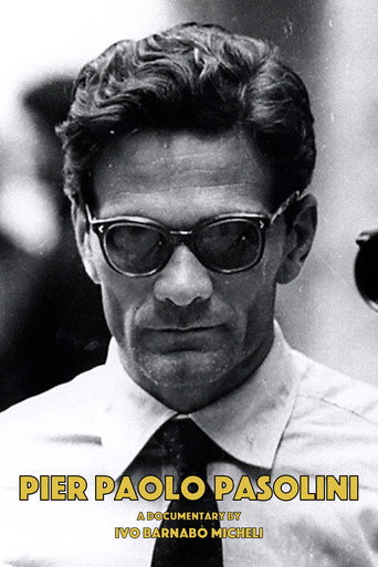 Movie poster for Pier Paolo Pasolini (1995)