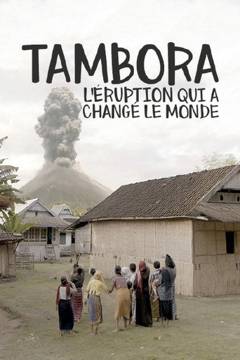 Movie poster for The Volcano That Changed The World (2017)