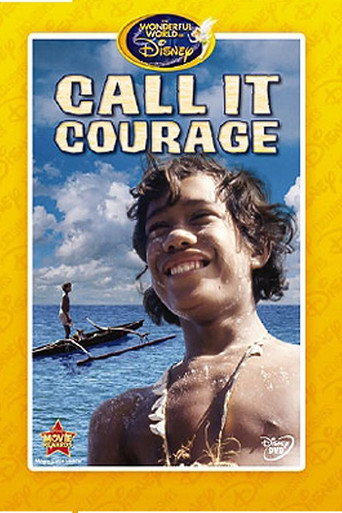 Movie poster for Call It Courage (1973)