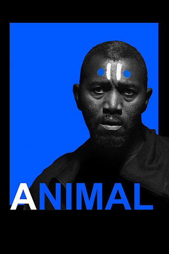 Animal poster
