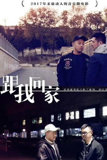 Series poster for 跟我回家 (2017)